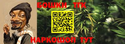 гашик Гатчина