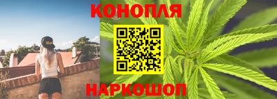 гашик Гатчина