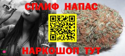 гашик Гатчина