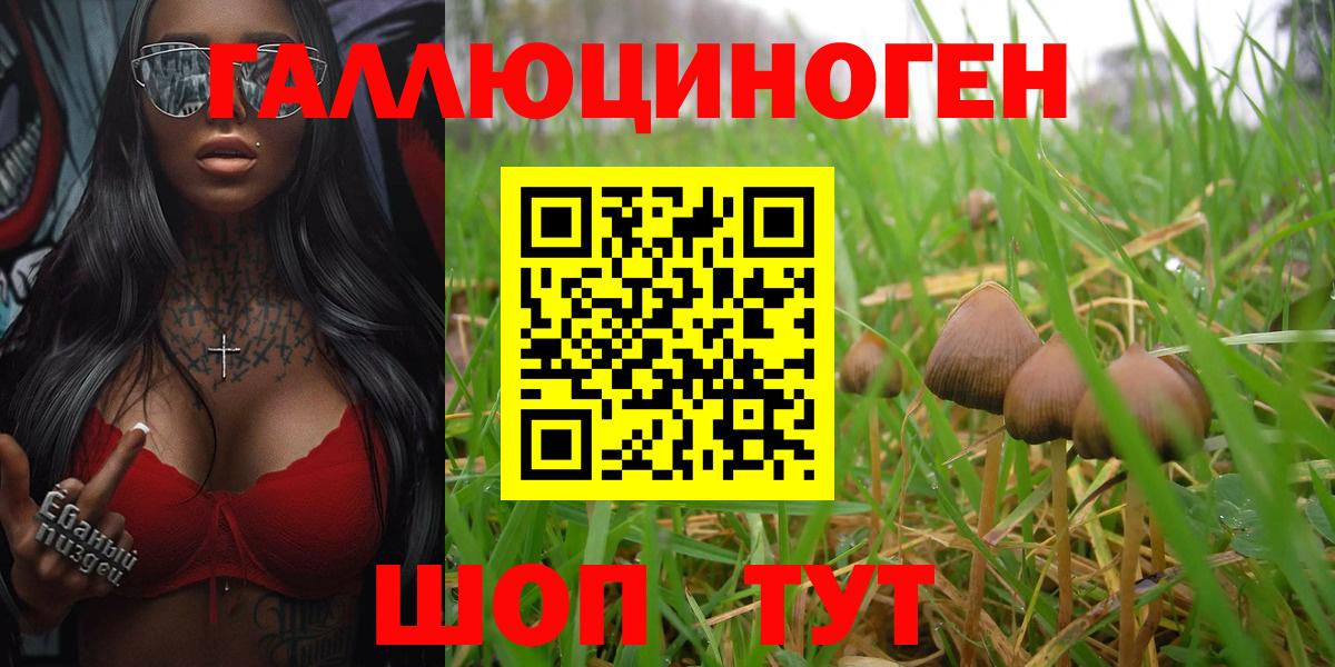 Псилоцибиновые грибы MAGIC MUSHROOMS Можайск