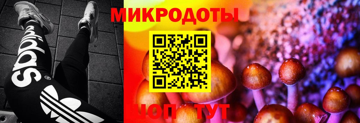 Можайск  Псилоцибиновые грибы прущие грибы  Вход с VPN  Псилоцибиновые грибы Magic Shrooms 